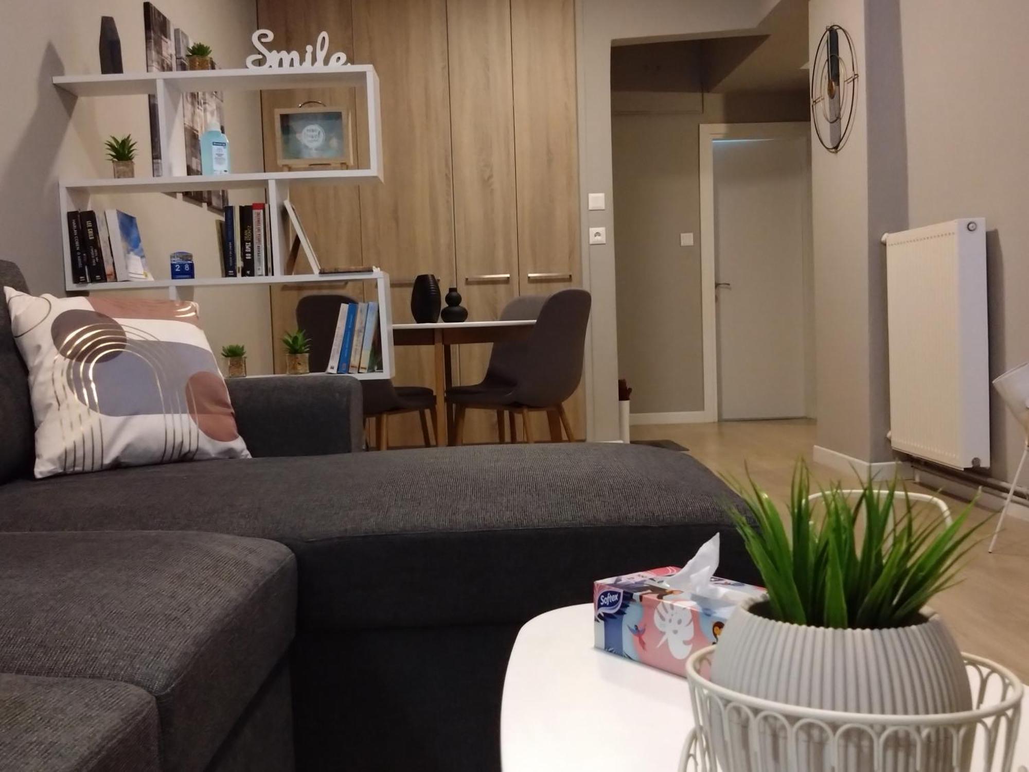 Axd Downtown Spacious Lux Apartment أليكسانثيربوليس المظهر الخارجي الصورة